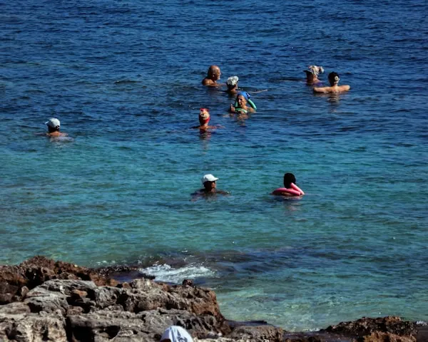Morning Sea Swims